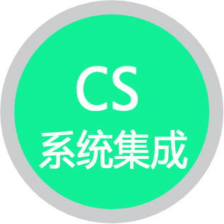 CS信息系統(tǒng)建設(shè)和服務(wù)能力評估